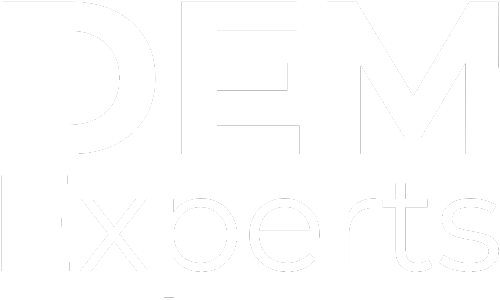 DEM Experts logo